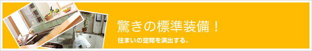 標準装備